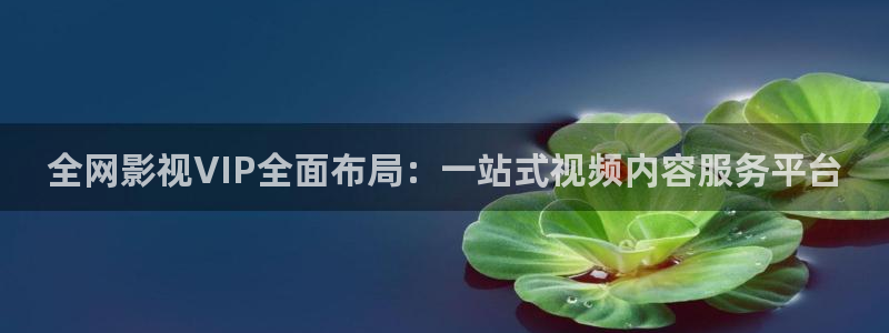 飞马良子影视有限公司：全网影视VIP全面布局：一站式视频内容服务平台