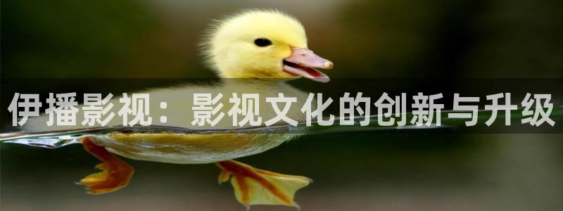 飞马良子影视有限公司：伊播影视：影视文化的创新与升级
