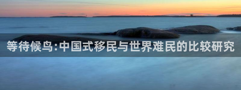飞马影院下载安装：等待候鸟:中国式移民与世界难民的比较研究