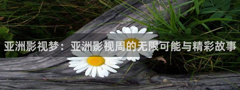 飞马影院下载：亚洲影视梦：亚洲影视周的无限可能与精彩故事