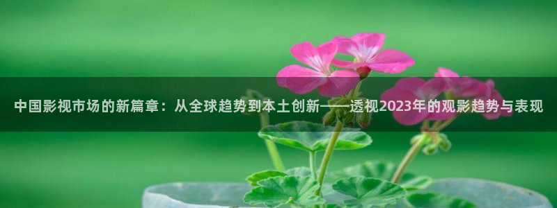 飞马影院下载：中国影视市场的新篇章：从全球趋势到本土创新——透视2023年的观影趋势与表现